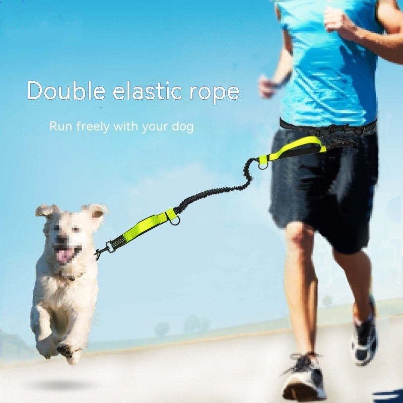 Durable Pet Traction Rope for Happy Daily Walks