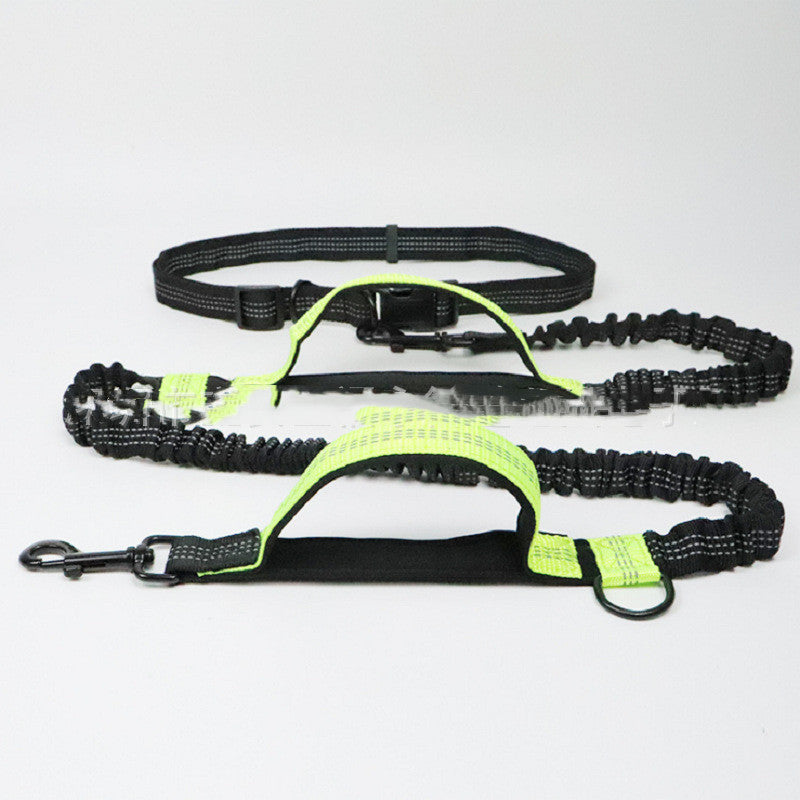 Durable Pet Traction Rope for Happy Daily Walks