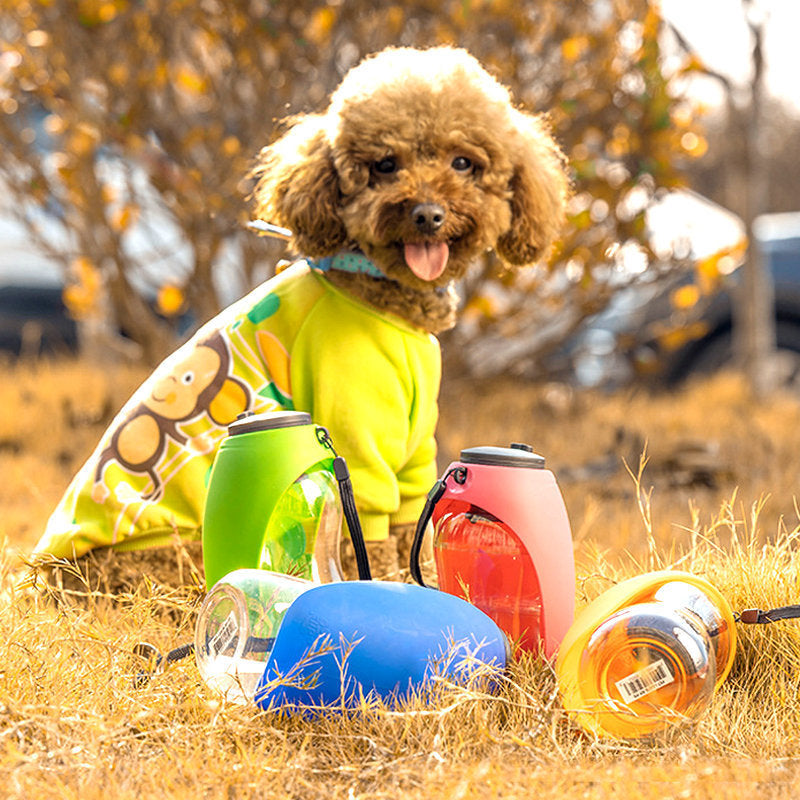Portable Pet Water Bottle – Hydration Anywhere, Anytime