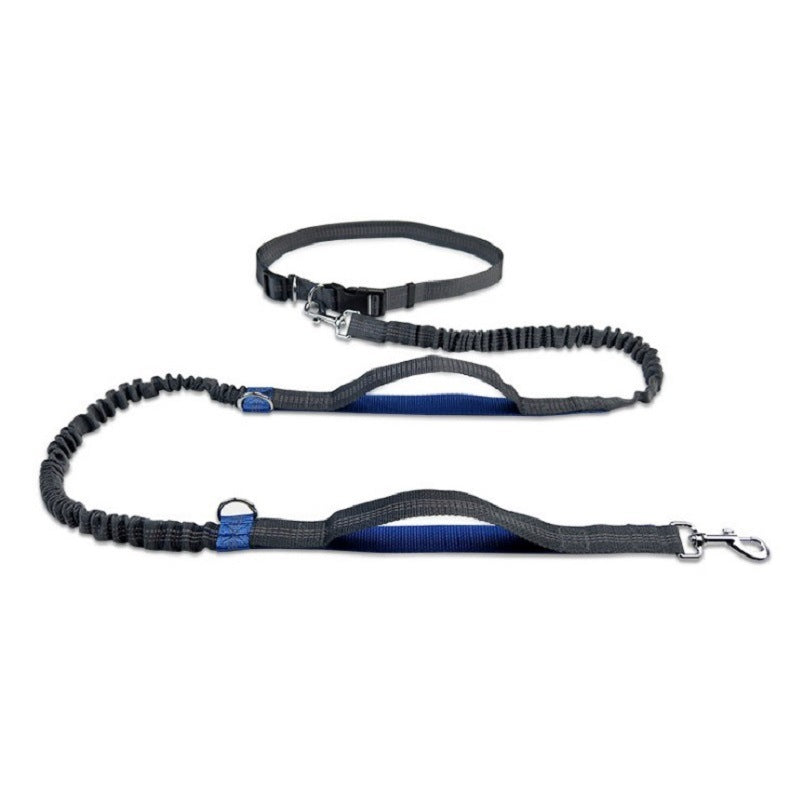 Durable Pet Traction Rope for Happy Daily Walks