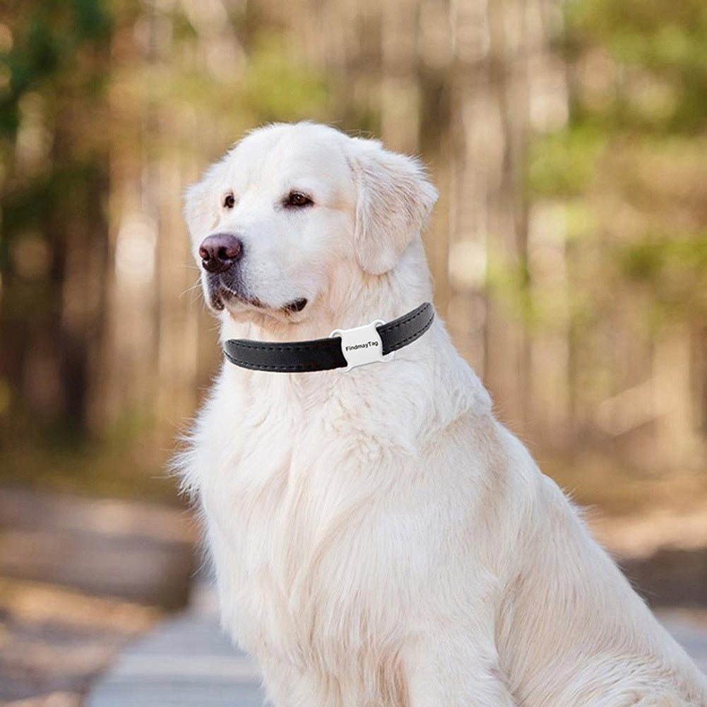 Smart GPS Pet Tracker – Safety Wherever They Roam