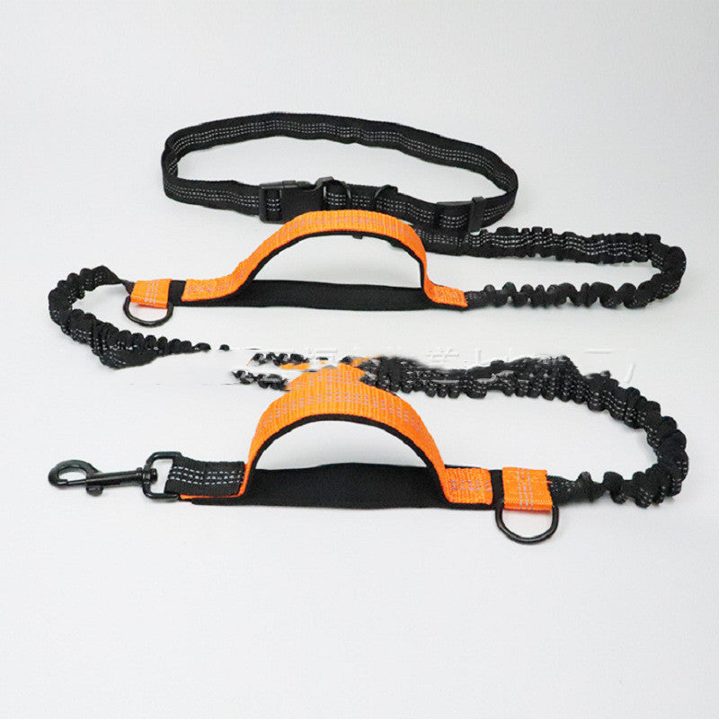 Durable Pet Traction Rope for Happy Daily Walks